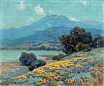 California Poppy Field 1922