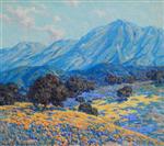 California Poppy Ridge