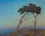 Cypress at Twilight (The Star of Monterey)