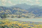 Lakeside Wildflowers