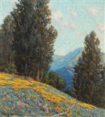 Landscape with Poppies and Lupine 2