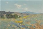 Poppies and Lupine 1914