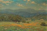 Rolling Hills with California Poppies