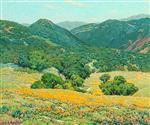 Southern California Hills