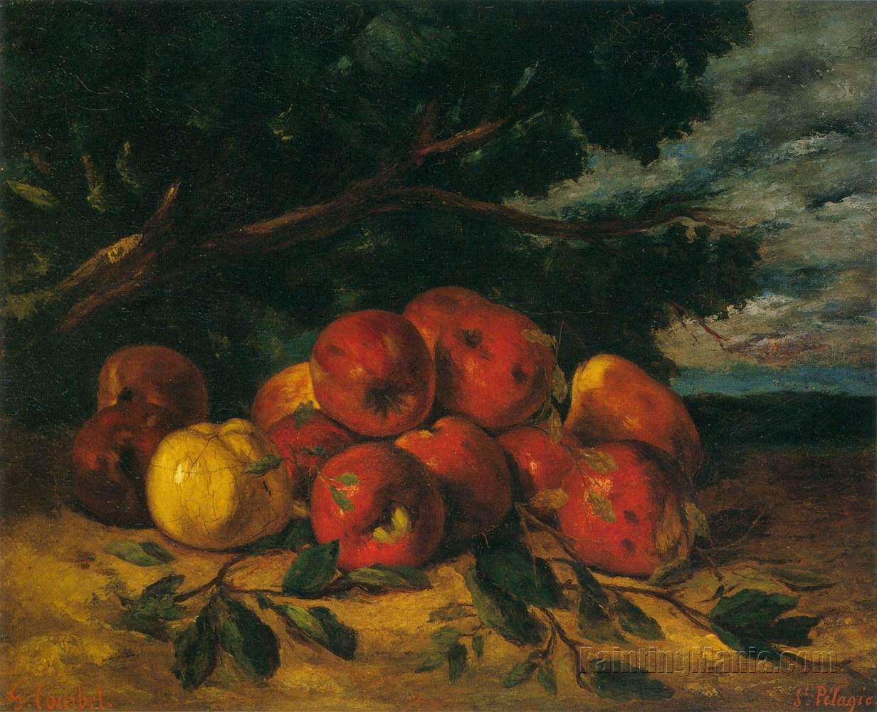 Red Apples at the Foot of a Tree