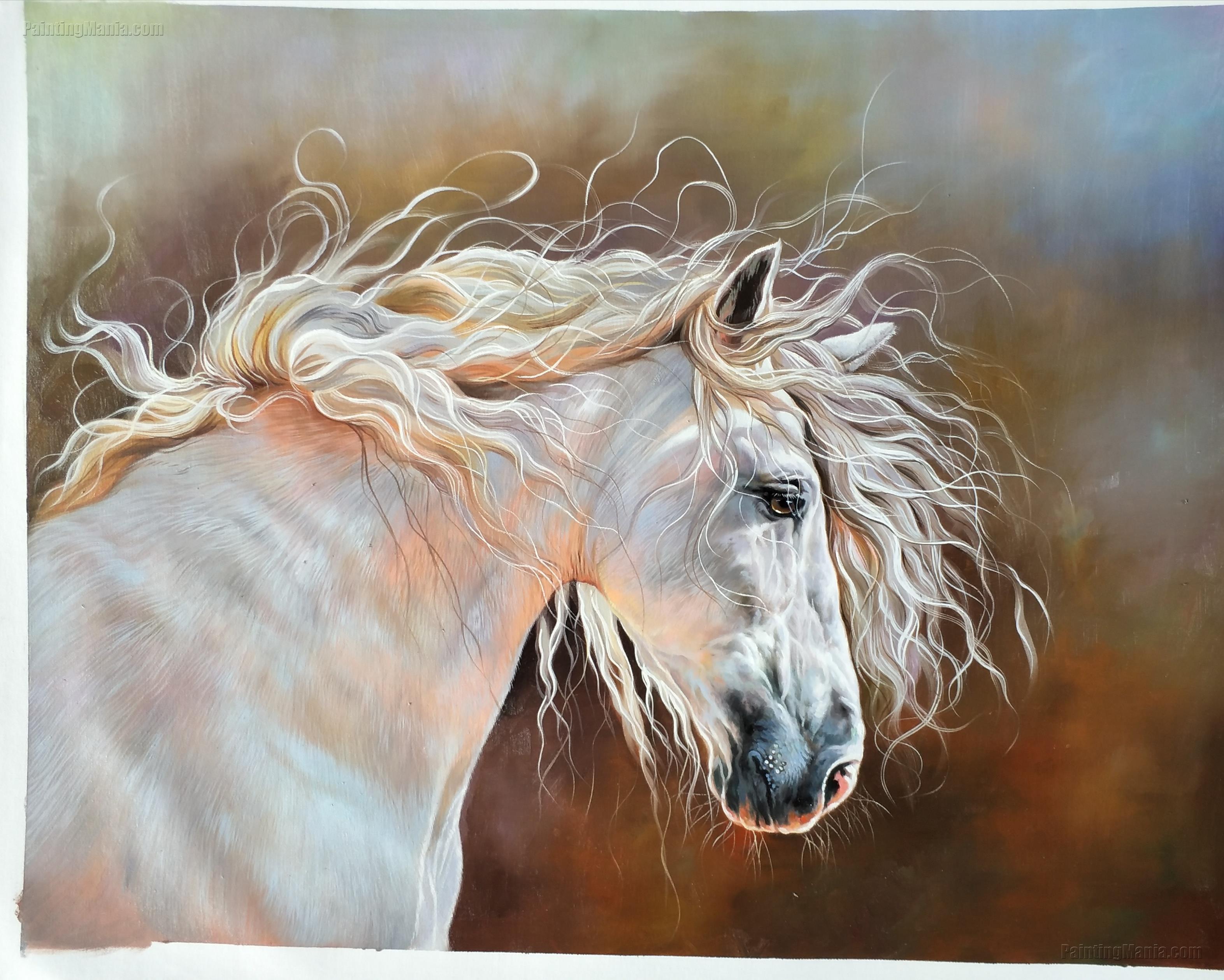 Beautiful White Horse Paintings   Head Beautiful White Horse 106 49432 