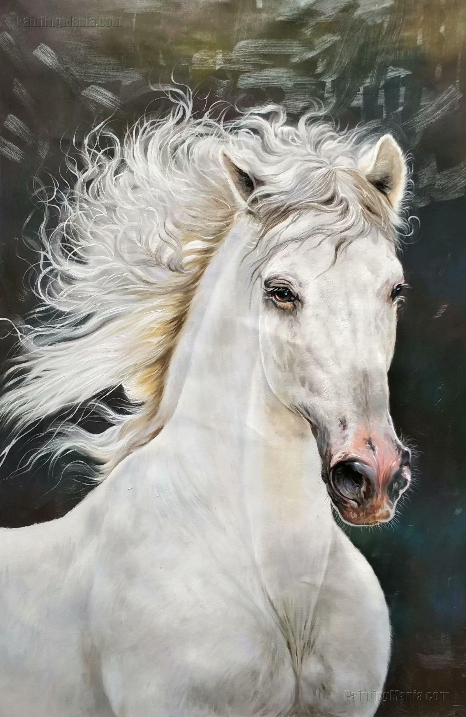 white thoroughbred horses