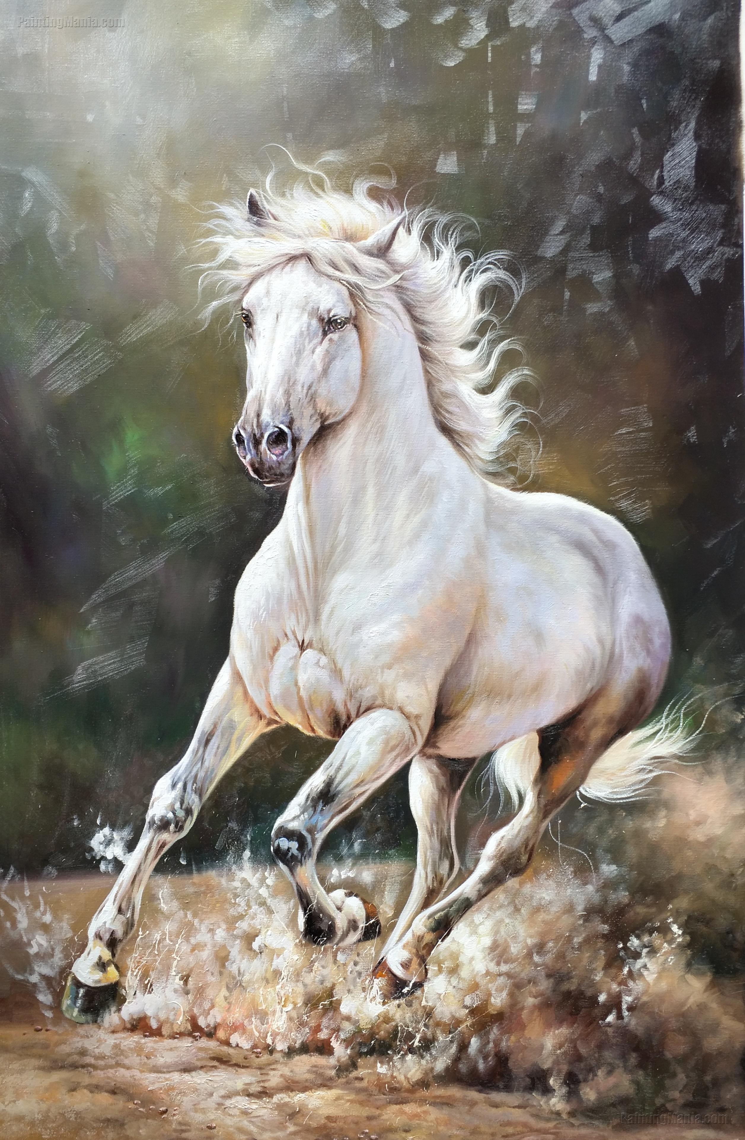 Paintings Of Horses Ubicaciondepersonas Cdmx Gob Mx   White Horse Running Dust 106 4474 