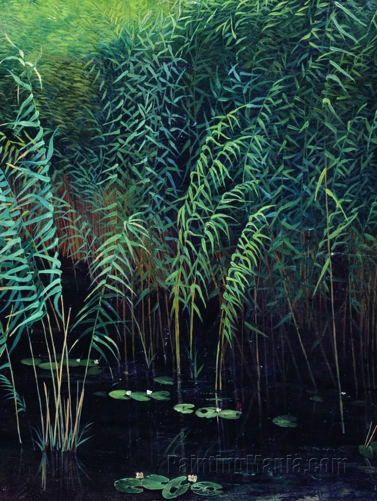 Reeds and Water Lilies