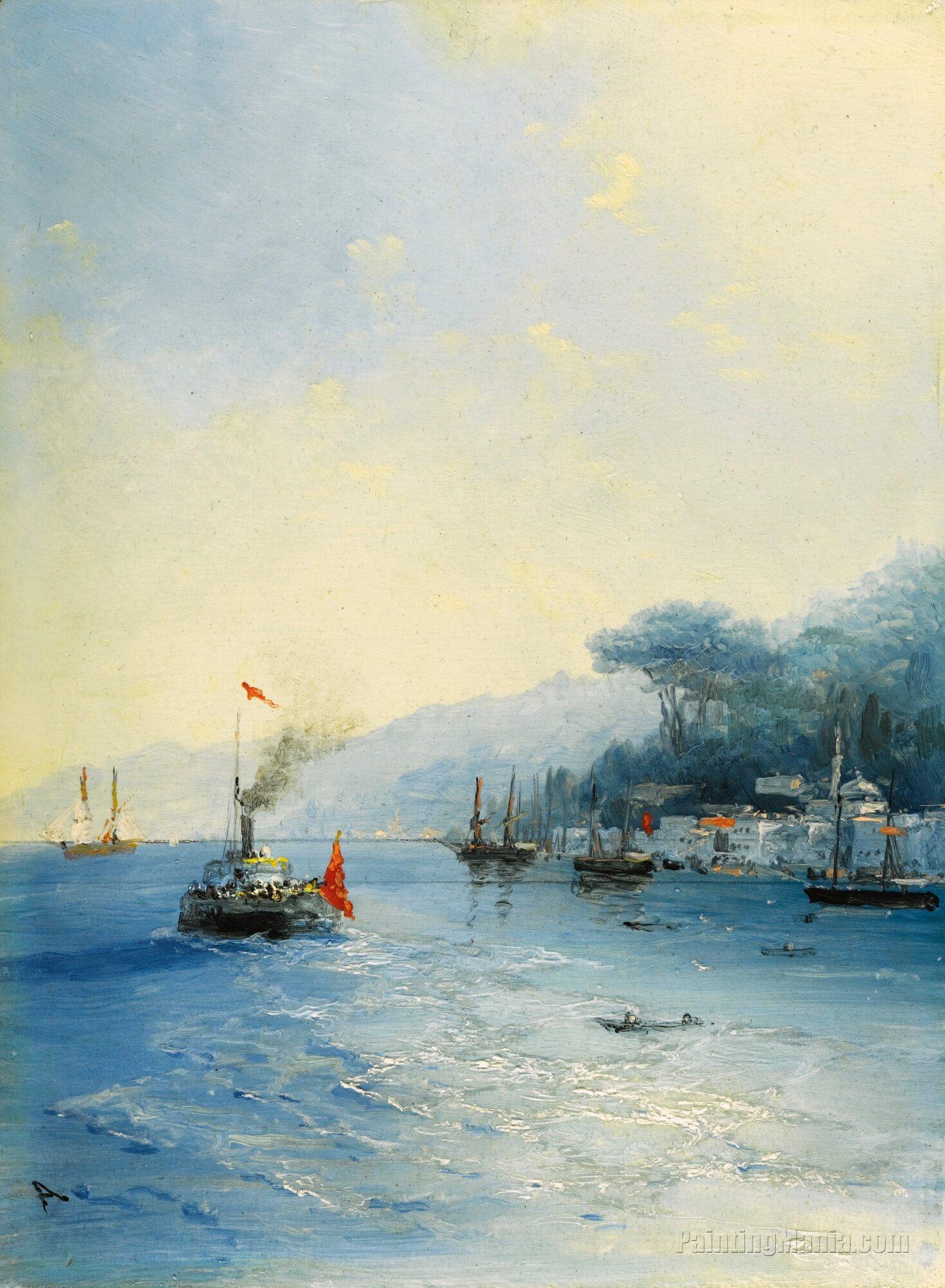 Shipping on the Bosphorus, Constantinople