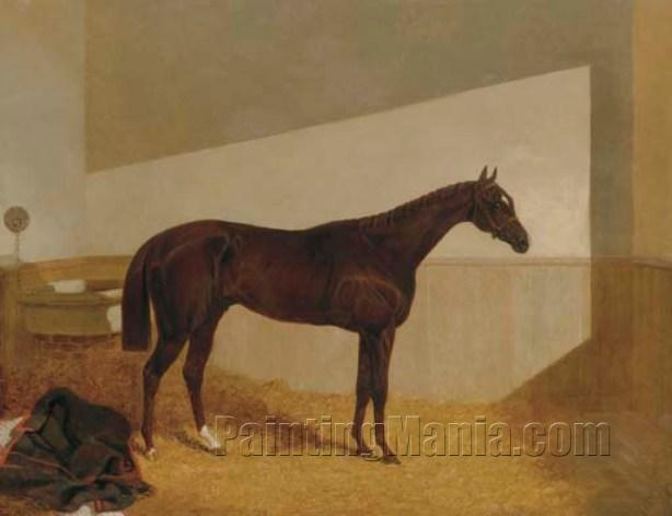 The Baron, Winner of the St. Leger