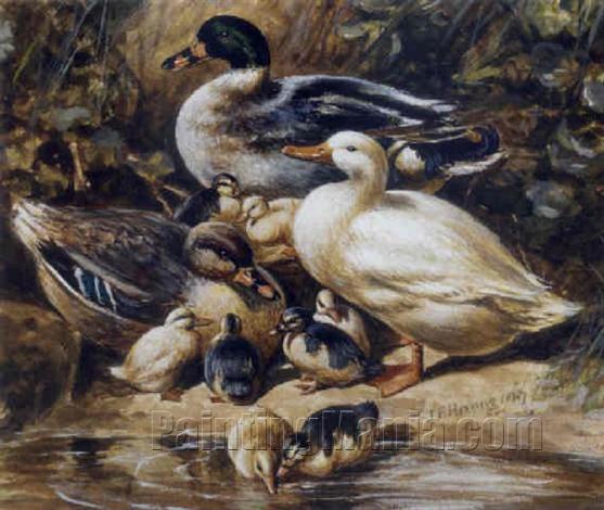 Ducklings