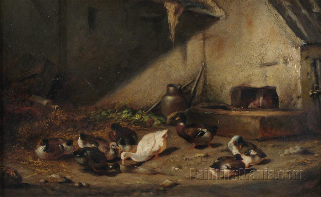 Ducks in a Barn