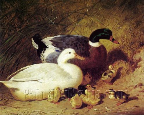 Ducks and Ducklings 2