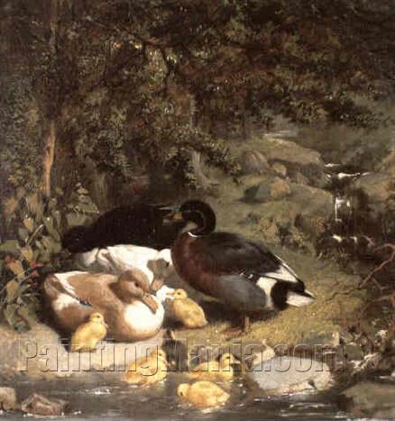 Ducks and Ducklings 3