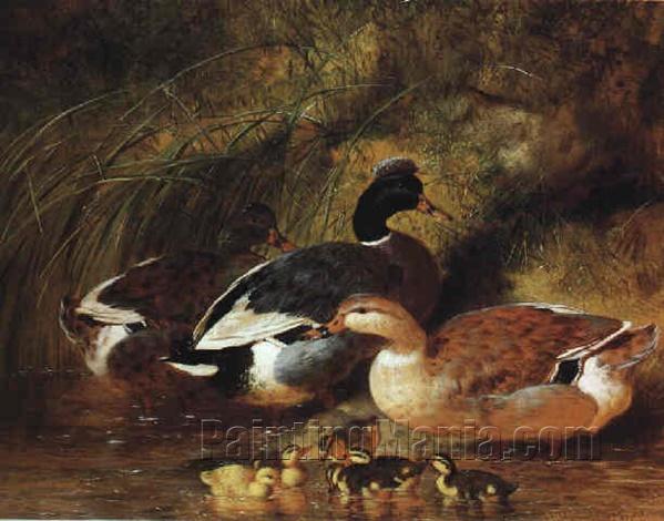 Ducks and Ducklings on a River Bank