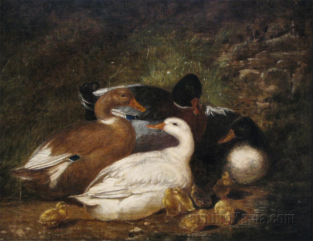 Ducks by a Pond