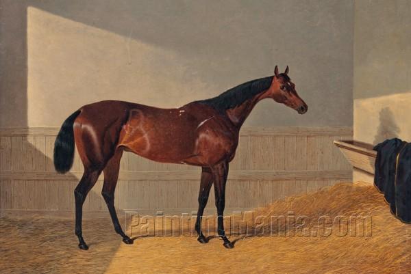 The Duke of Grafton's Oxygen, Winner of the Oaks