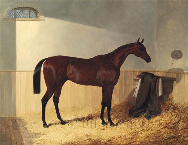 G.W. Gratwicke's Bay Colt "The Merry Monarch"