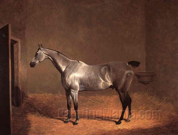 Grey Horse in a Stable 1830