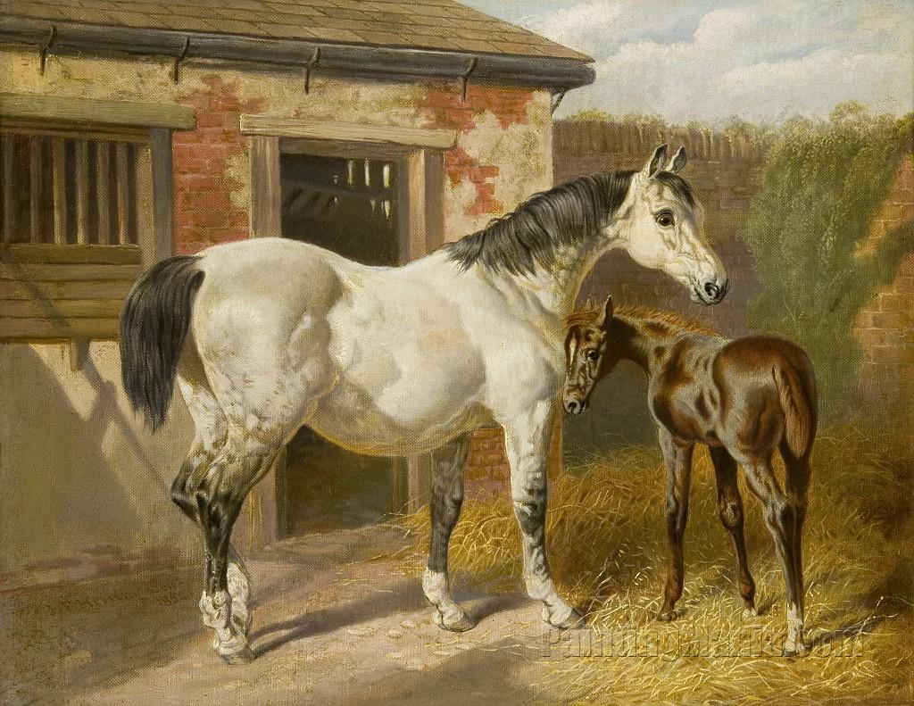 Grey Mare and Her Foal in a Stable Yard