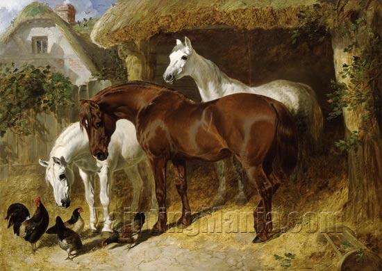 Horses and Chickens on a Farm