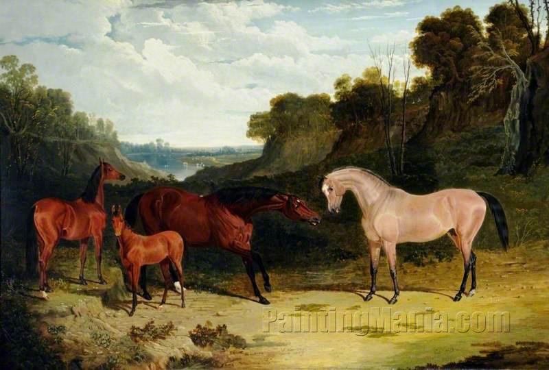 Horses in a Landscape 1827