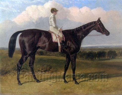 Jonathan Wild Dark Bay Racehorse with Jockey Up