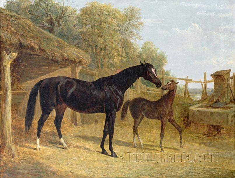 Levity, the Property of J.C.Cockerill Esq., with Her Foal Queen Elizabeth, the Property of Lord