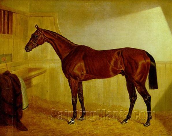 Lord Jersey's "Bay Middleton" in a stable