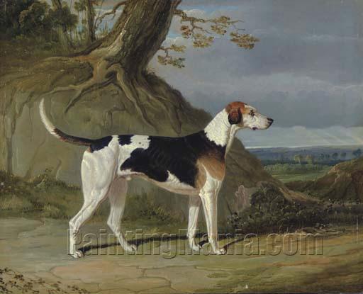 Maleburn, a Foxhound in a Wooded Landscape