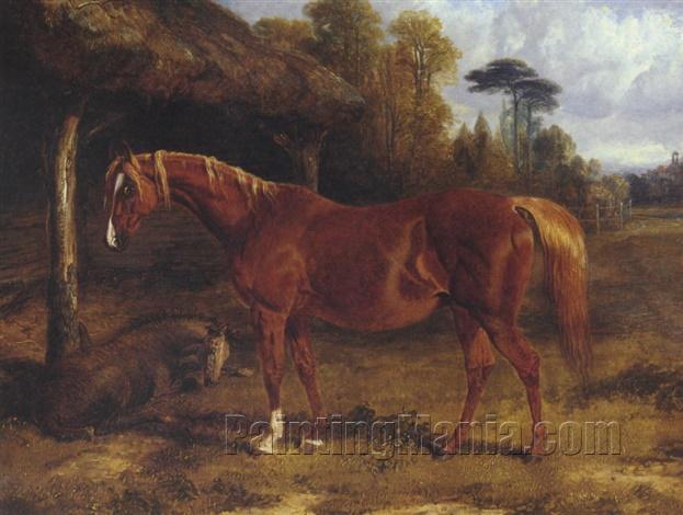 Mare And Foal by a Shed