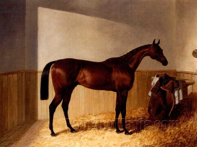 Mr Grantwicke's bay racehorse the "Merry Monarch" by "Slane" out of "Margravine" in a loosebox