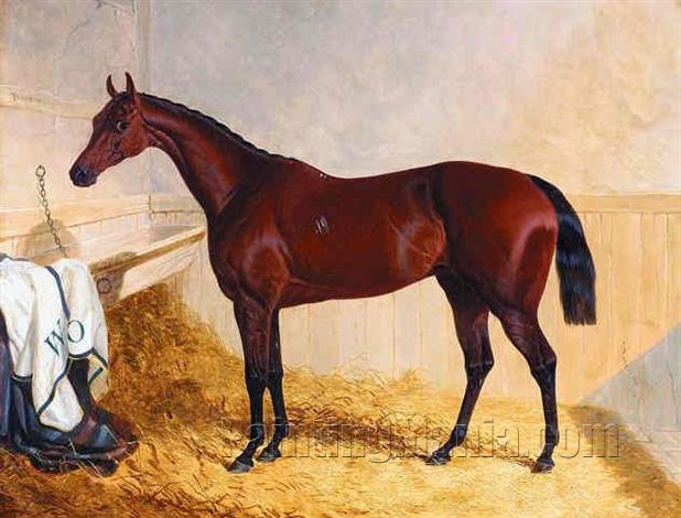 Mr. William Orde's bay filly "Bees-wing" in a loose box 1843