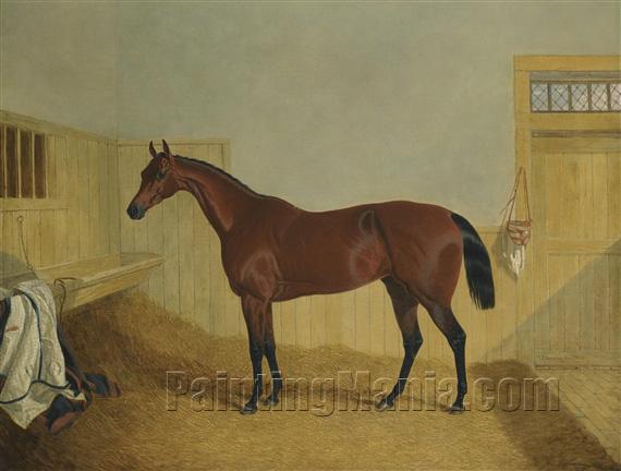 Mr William Orde's Bay Filly Beeswing in a Stable