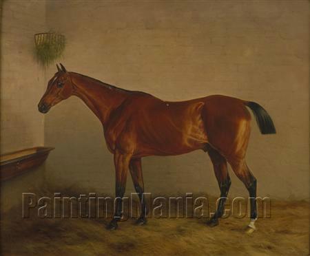 Portrait of a Dark Bay Hunter in a Stable Interior