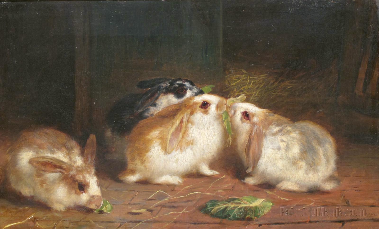 Rabbits in a Hutch