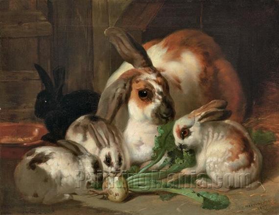 Rabbits in an Interior