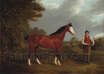 The Racehorse Whiteface with Groom J. Gilham