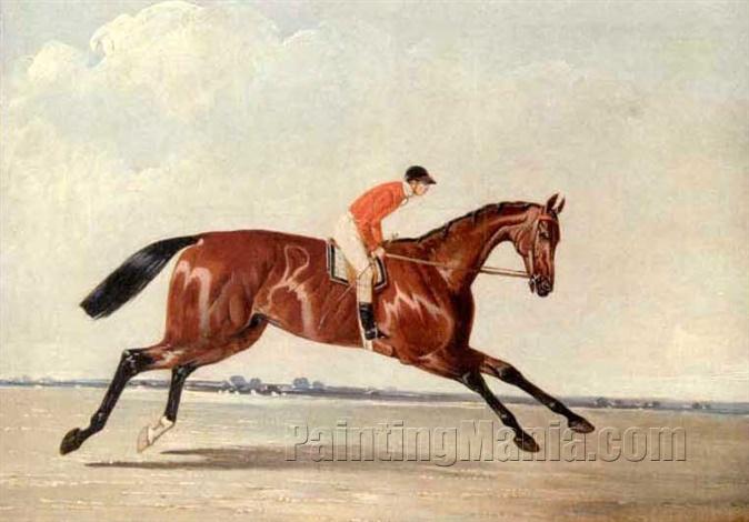 Sir J. Hawley's "Teddington," J. Marson up