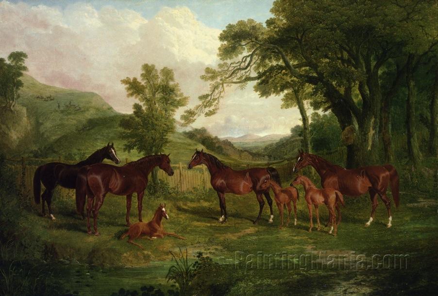 Streatlam Stud, Mares and Foals