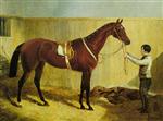 The Bay Racehorse. Alice Hawthorn Held by a Groom in a Stable