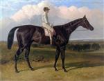 Jonathan Wild Dark Bay Racehorse with Jockey Up