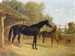 Levity. the Property of J.C.Cockerill Esq.. with Her Foal Queen Elizabeth. the Property of Lord