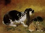 Lop Eared Rabbits Feeding 2