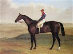 Lord Chesterfields Racehorse Don John