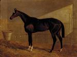 Lucetta. a Bay Racehorse in a Stable