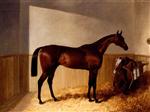 Mr Grantwicke's bay racehorse the 'Merry Monarch' by 'Slane' out of 'Margravine' in a loosebox