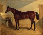 Mr. Richard Watt's 'Rockingham'. winner of the 1833 St. Leger. in a stable