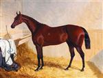 Mr. William Orde's bay filly 'Bees-wing' in a loose box 1843